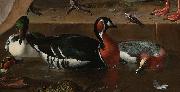 Melchior de Hondecoeter Floating Feather USA oil painting artist
